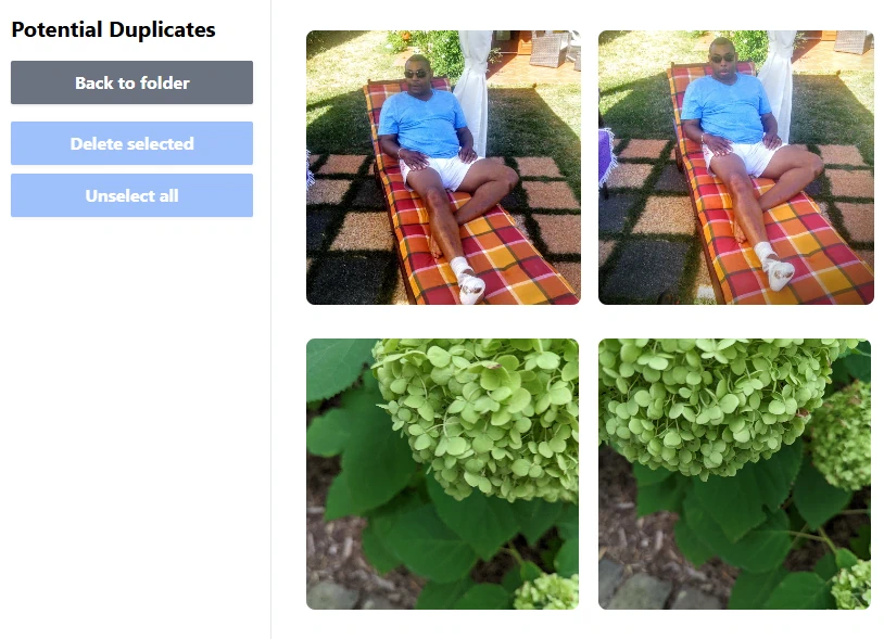 Duplicate detection demo